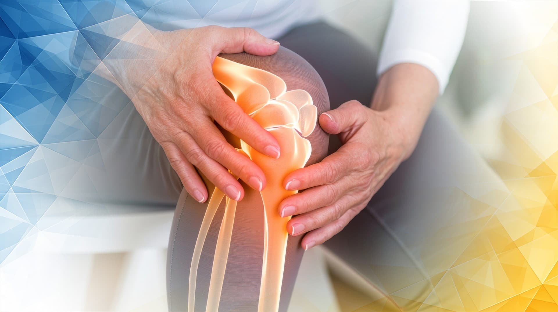 Holistic Knee Cartilage Regeneration and Support