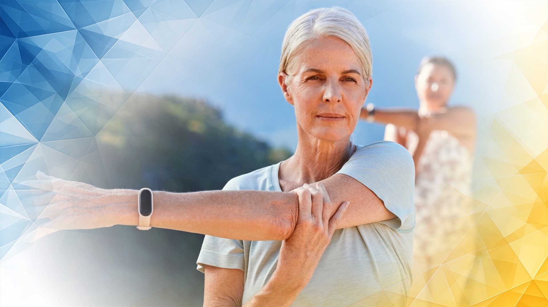 ChondroFiller Analysed: Is It a Glue Holding Tissue or Seeds for Regeneration?