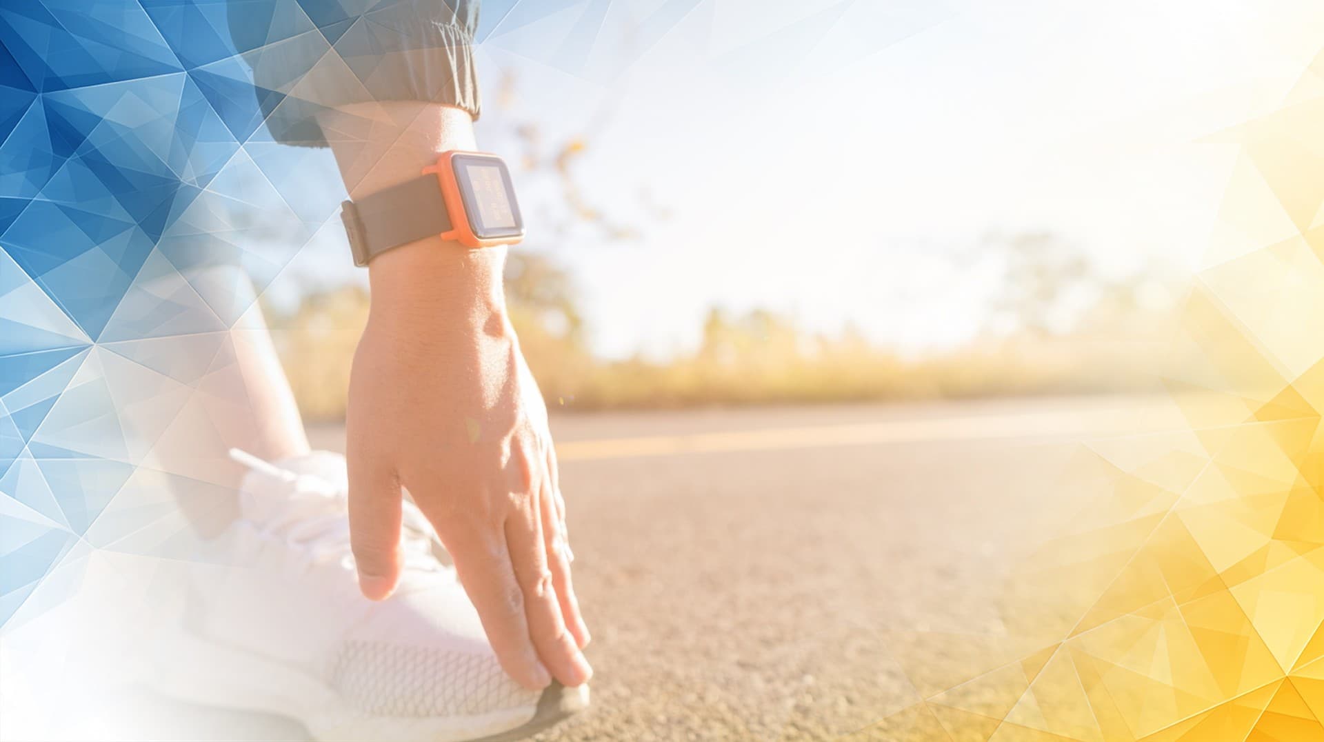 Decoding the Microscopic Architecture and Repair Mechanisms of Ankle Hyaline Cartilage