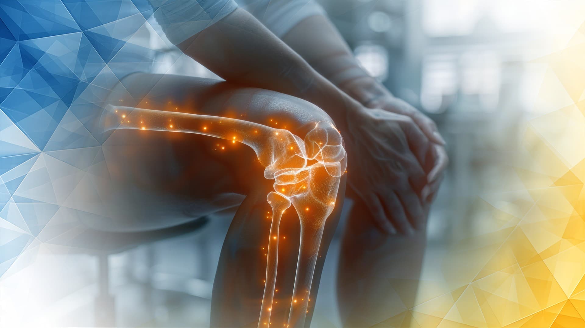 Nutrition strategies for knee cartilage recovery