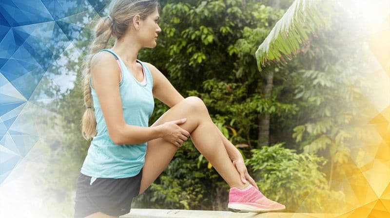 The Meniscus Demystified: A Structural and Functional Analysis