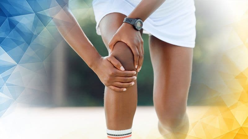 Innovative Regenerative Strategies: Harnessing Elastic Cartilage for Knee Repair