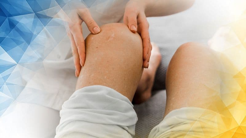 Knee Cartilage and Its Capacity for Repair