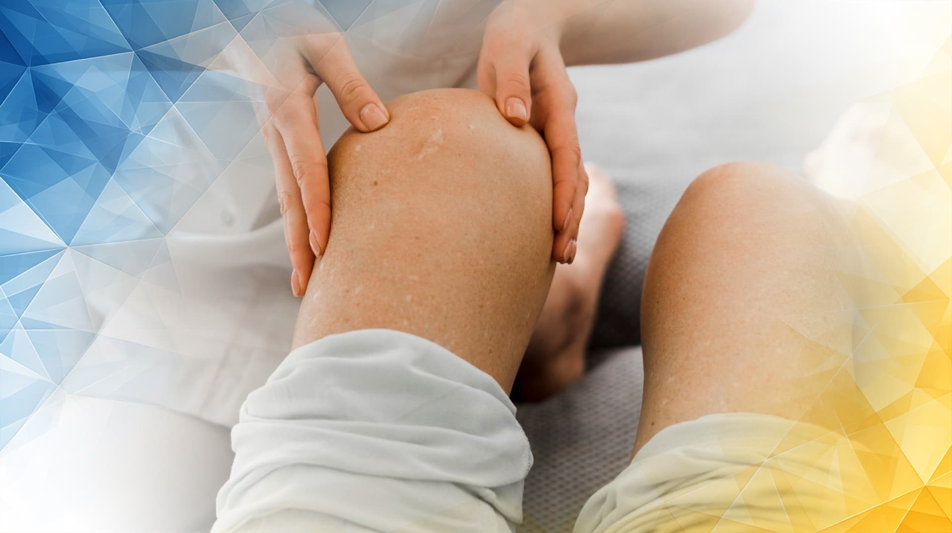 Knee Cartilage and Its Capacity for Repair