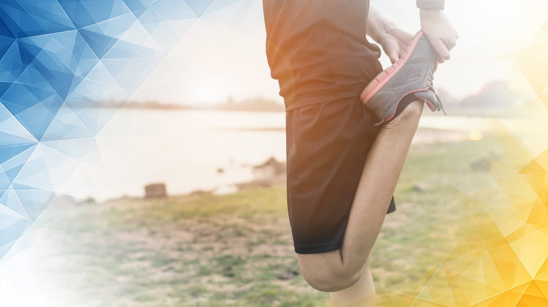 Unlocking the Healing Power of Fat: How Adipose Tissue Could Revolutionize Knee Cartilage Repair