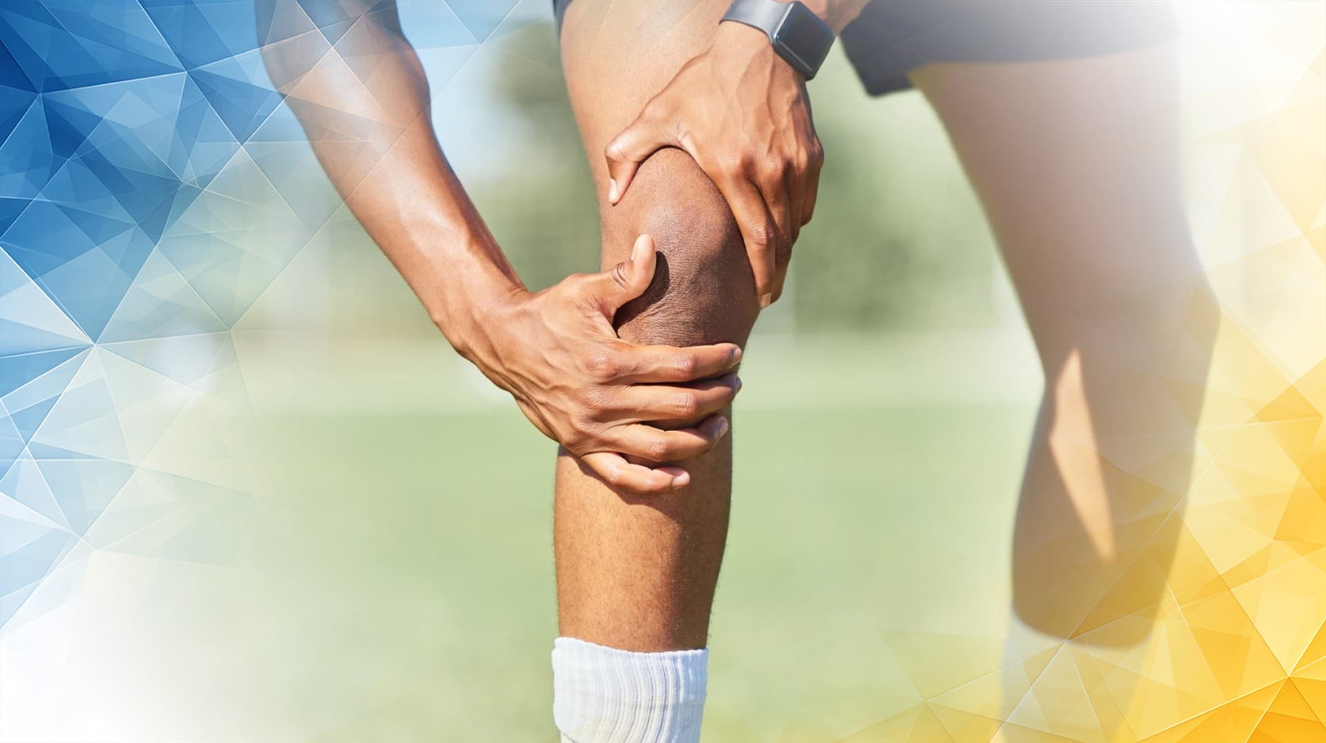 The Vital Role of Elastic Connective Tissue in Enhancing Knee Cartilage Performance