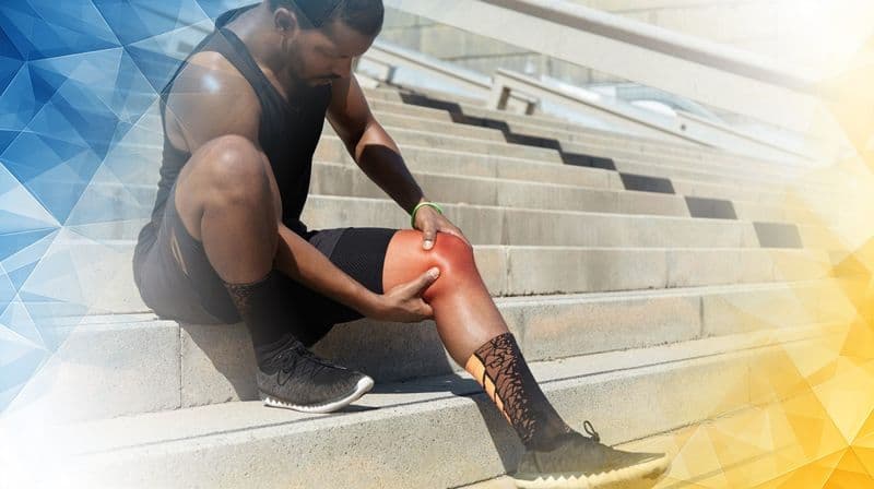 How the Immune System Drives Knee Cartilage Damage in Rheumatoid Arthritis: What Recent Research Tells Us