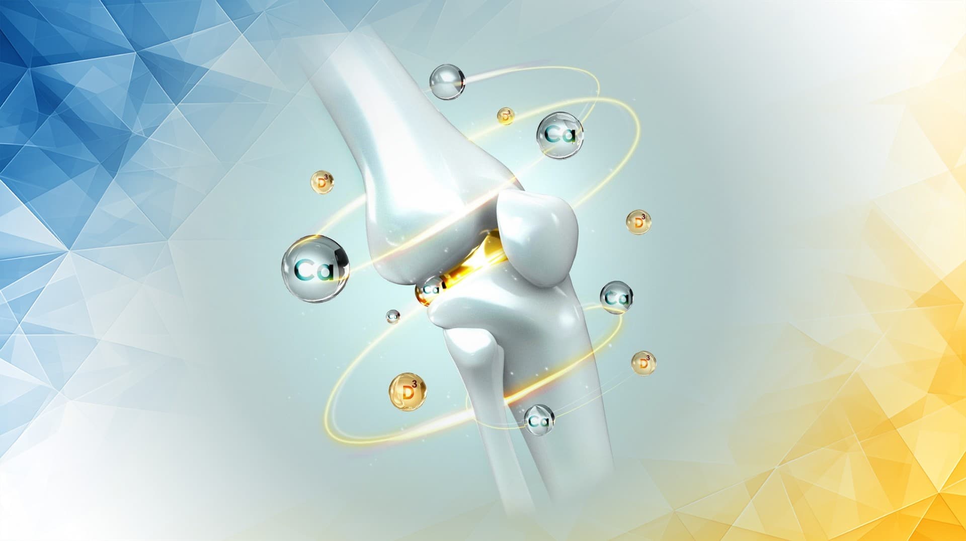 ChondroFiller for Effective Cartilage Regeneration