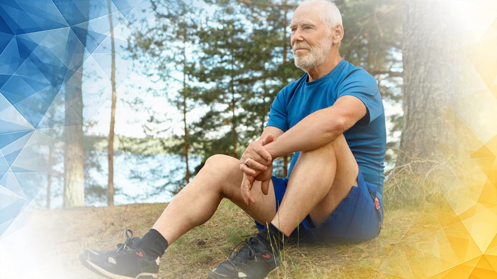 Is ChondroFiller a Collagen Scaffold for Guided Cartilage Regeneration?