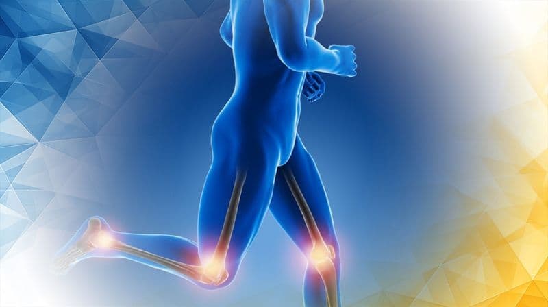 ChondroFiller as a Solution for Hip Joint Cartilage Repair