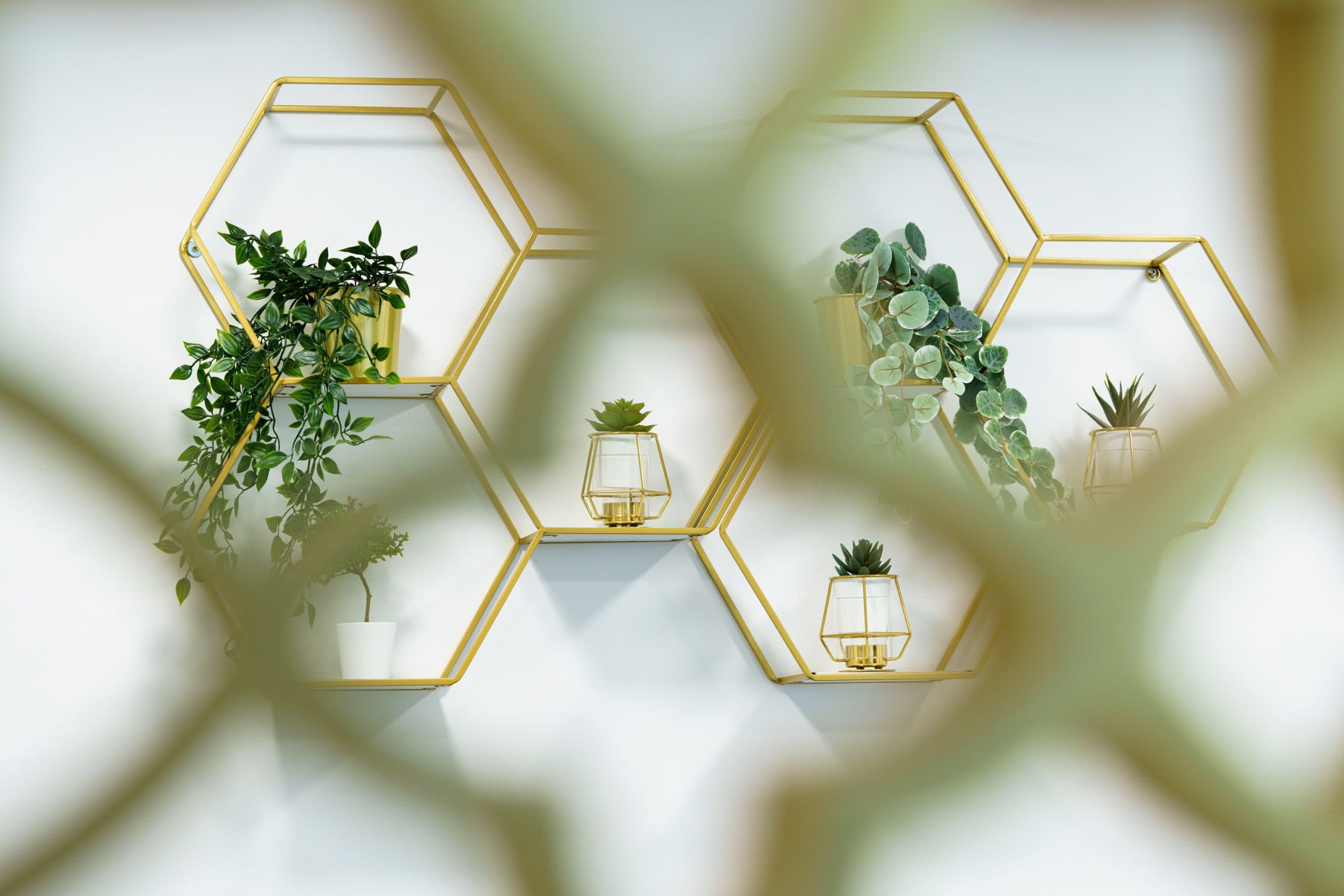 Modern Clinic Background