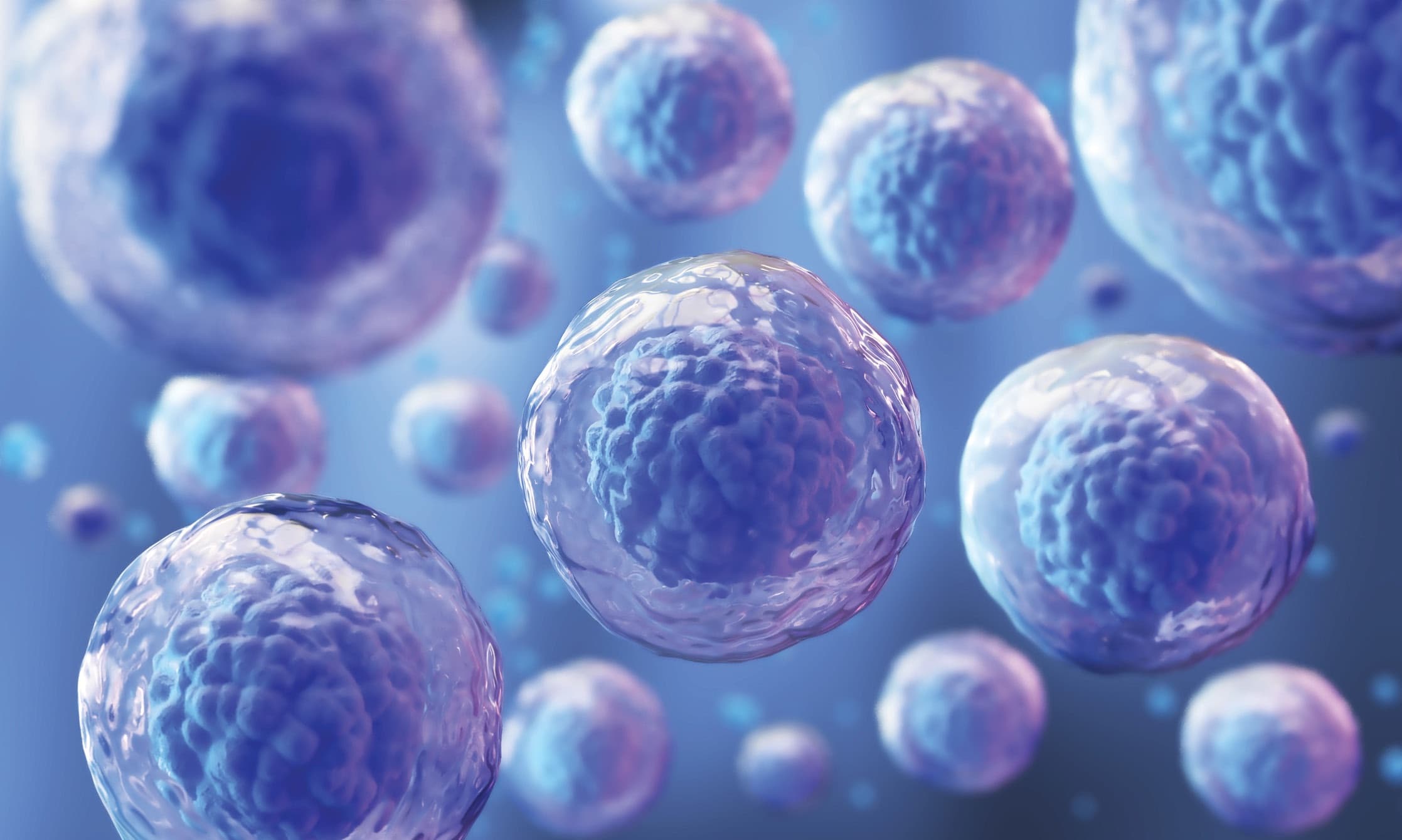 Cartilage micrografts representing the Seed component of NanoACi
