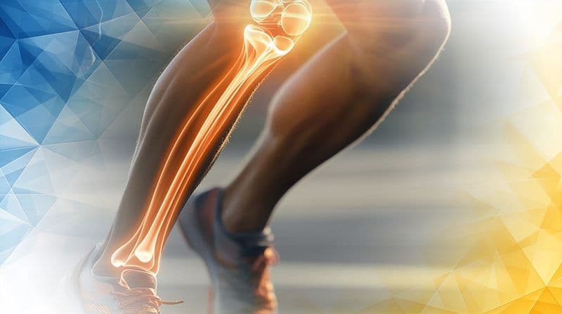 ChondroFiller Cartilage Regeneration for Lasting Joint Health