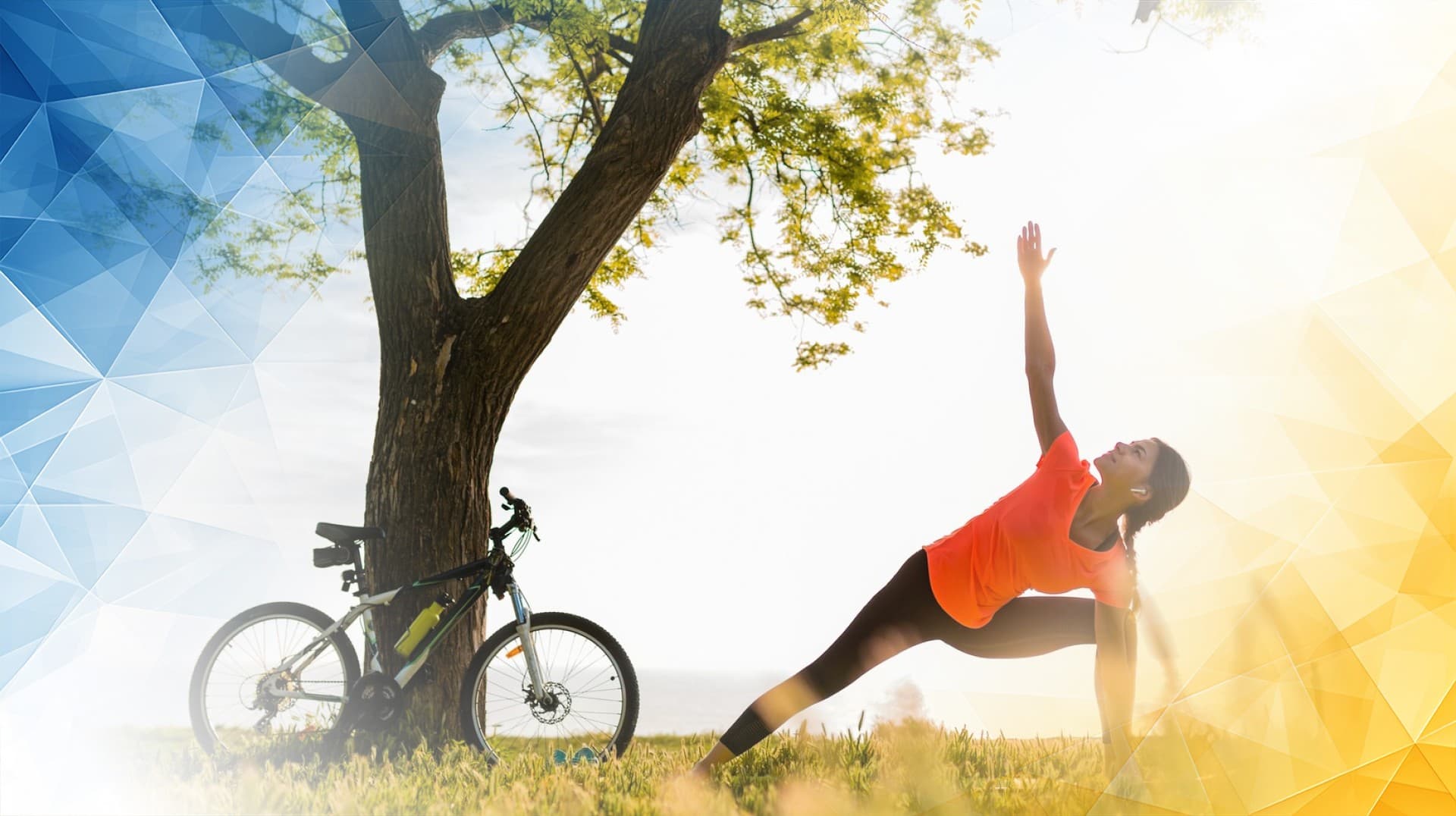 Arthrosamid Hydrogel Easing Osteoarthritis After Meniscectomy