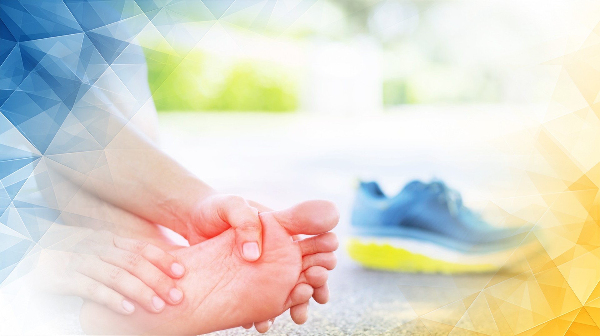 The Biomechanical Dynamics of Ankle Articular Cartilage: Unveiling Regenerative Mechanisms